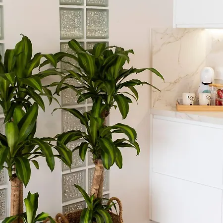 La Casa De Pascasio Prázdninový dům